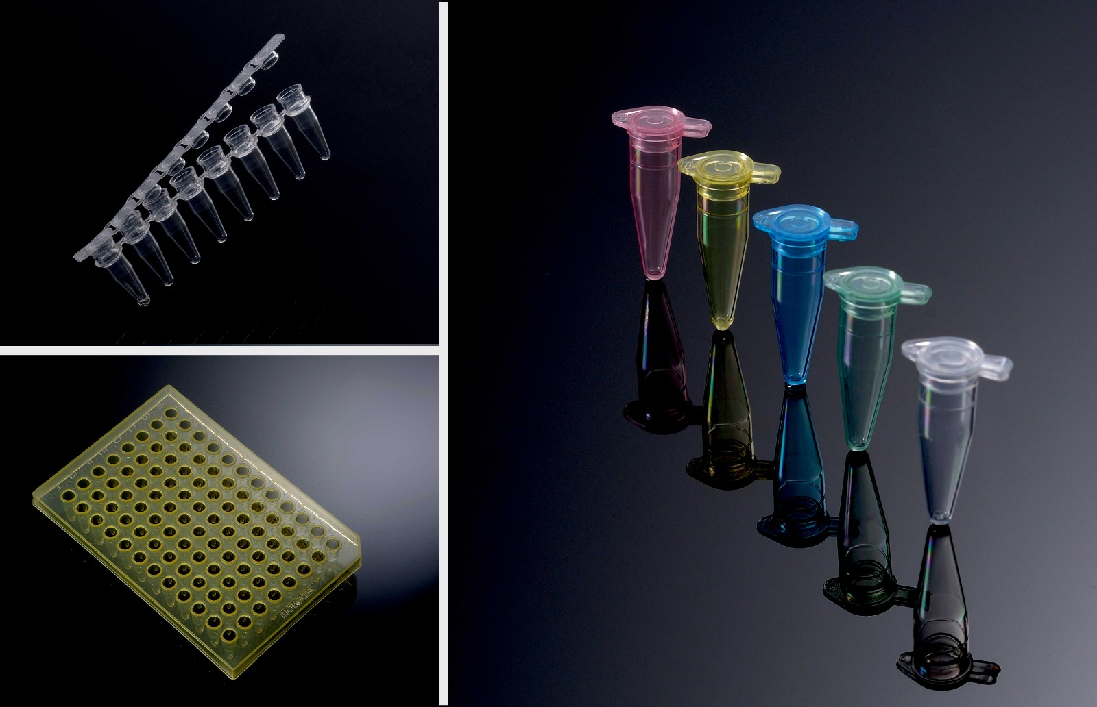 【BIOLOGIX|巴罗克】PCR系列产品，您实验中的可靠帮手！