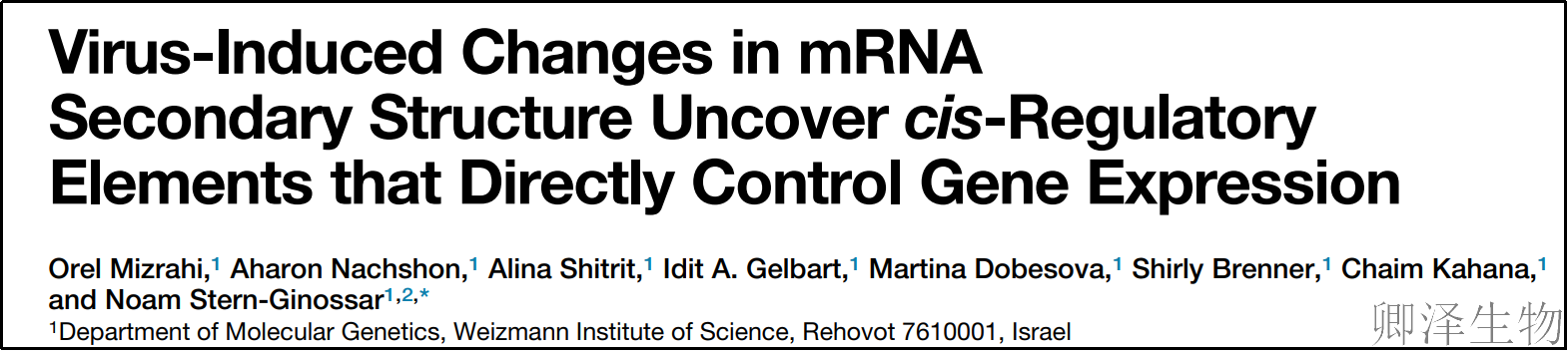 【mRNA二级结构影响核糖体动力学】 | ：揭示核糖体如何“熨平”mRNA，动态结构如何精准调控基因表达？