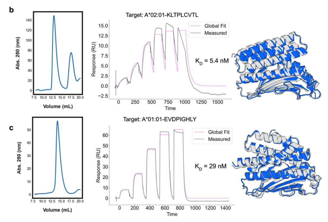 AI+SPR：Science+NCB顶刊教你“玩转”表位识别（上）