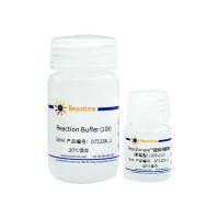 碧云天D7122S BeyoZonase™超级核酸酶(耐盐型, ≥99%)