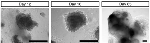 1768462667814520.png 43973f6c059c9424df06551d9173dced_0230429499352798961-68.png