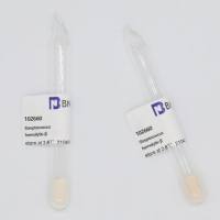 BNCC102660 乙型溶血性链球菌