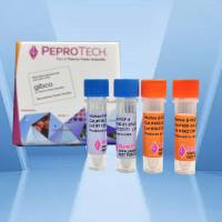 PeproTech  Human TGF-β1 