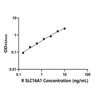 大鼠溶质载体家族16成员1(SLC16A1)ELISA试剂盒