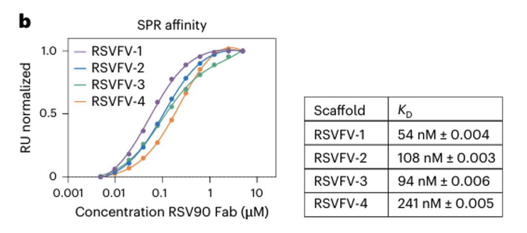 AI+SPR：Science+NCB顶刊教你“玩转”表位识别（下）