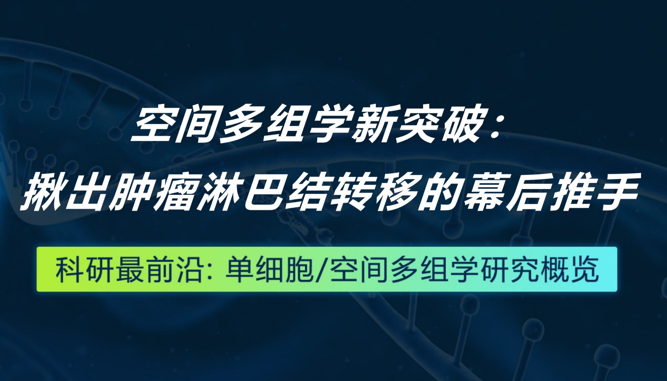 Cancer Cell丨空间多组学新突破：揪出肿瘤淋巴结转移的幕后推手