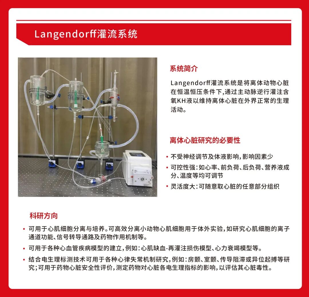 心脏代谢与电生理同框！NADH+动作电位同步标测技术protocol