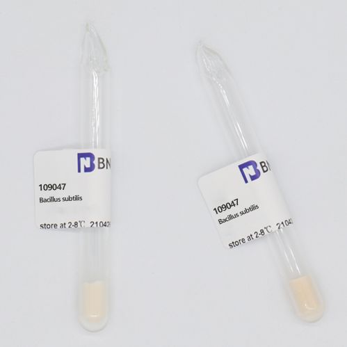BNCC109047 枯草芽孢杆菌