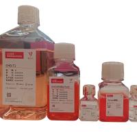 StarTrans CHO转染试剂盒