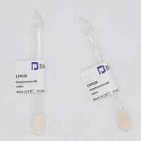 BNCC134928 唾液链球菌