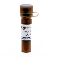  碧云天C0037 Cell Counting Kit-8 (CCK-8试剂盒)