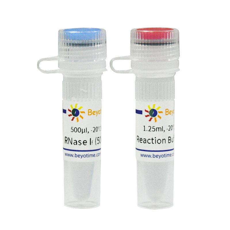 碧云天R7083S RNase If