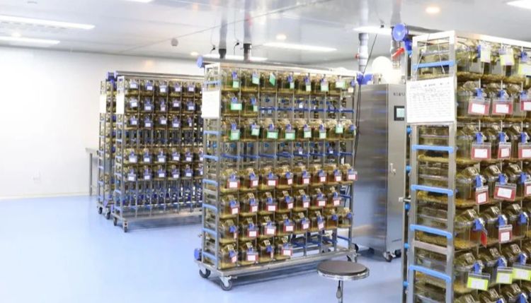 预订享福利丨环特共享式动物实验平台来了，科研也能 “拎包入驻”！