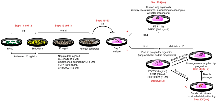 1768462648887987.png 6d4399f31fbc32fd00a14292aeeb9454_8083090767974698961-68.png