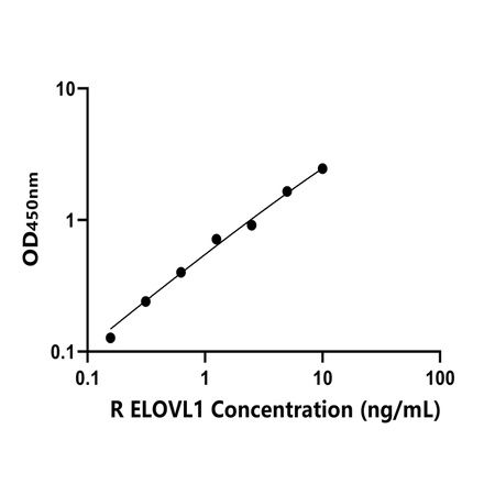 大鼠延伸因子极长链脂肪酸样蛋白1(ELOVL1)ELISA试剂盒