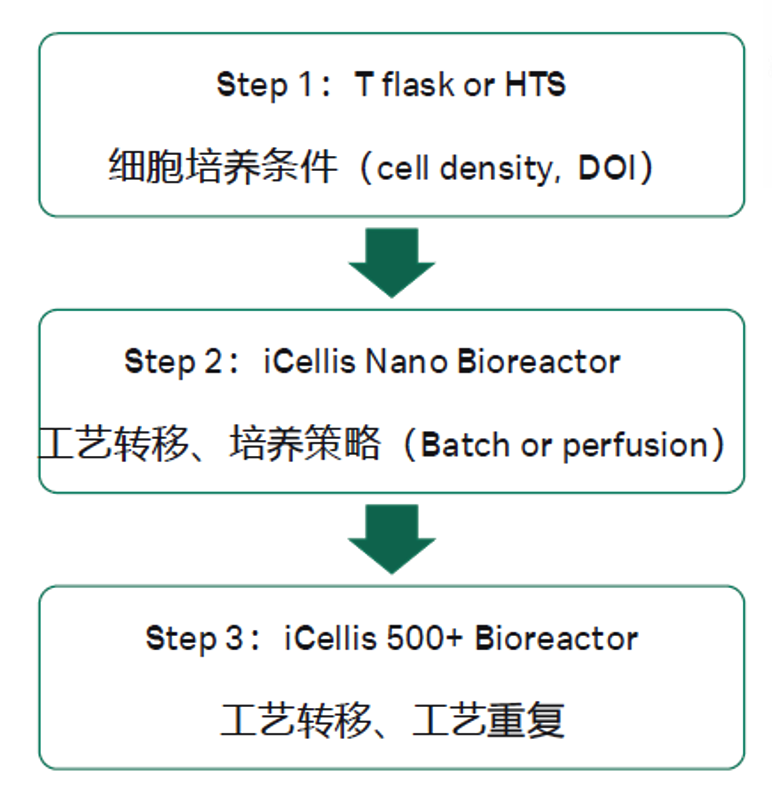 智荟智选 | 外泌体工艺干货深度解析（中）