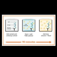 Abcam/艾博抗ab178013人IL-6 ELISA试剂盒