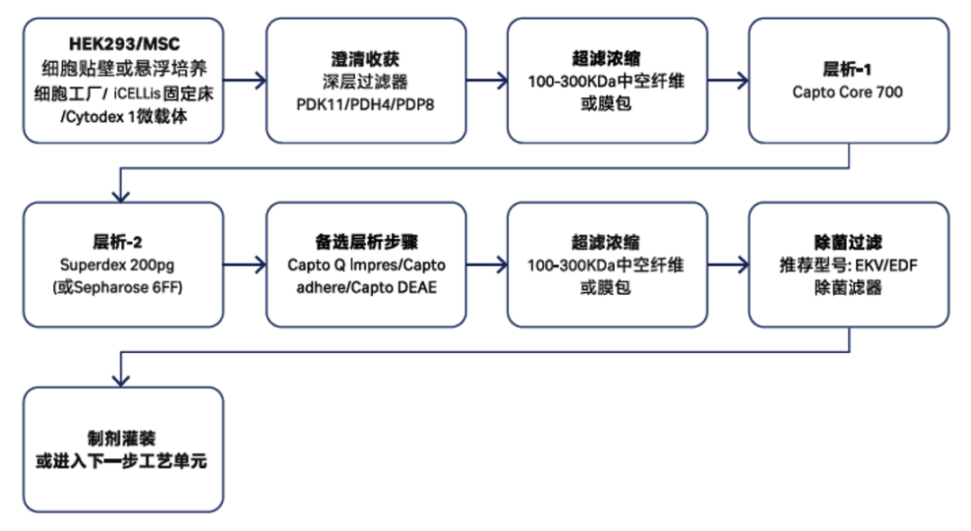 智荟智选 | 外泌体工艺干货深度解析（下）