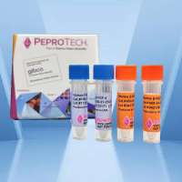 PeproTech  Human TGF-β1 