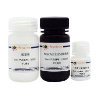 碧云天C0003 细胞凋亡－Hoechst染色试剂盒