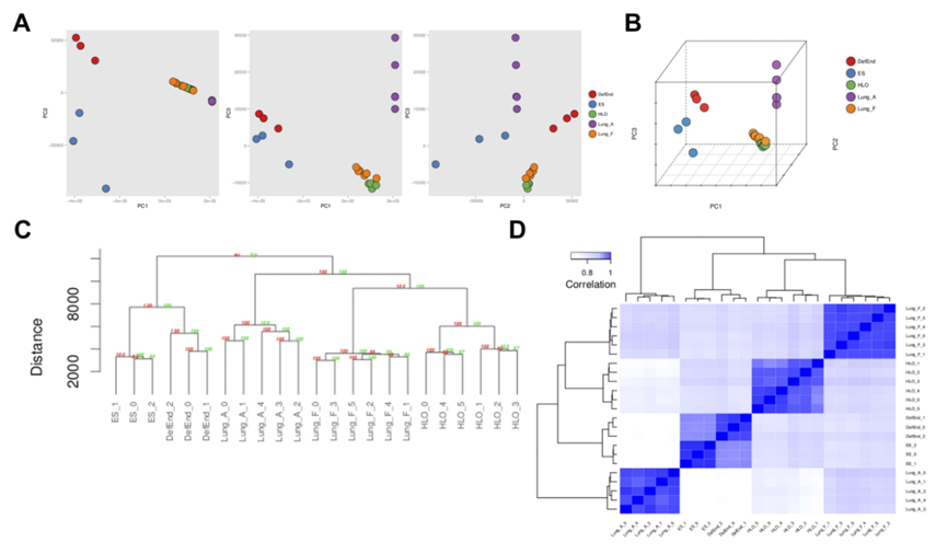 1768462706610208.png 162b9eab820d23a38f7101c3b7ae820e_2559532072772798961-68.png