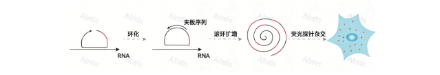 月科研焕新季——空间组学双buff加持