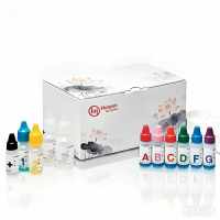 NADH-谷氨酸合成酶(NADH-GOGAT)试剂盒-非绿色组织，HYF5403F