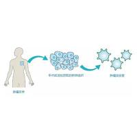 IPS/ES类器官培养