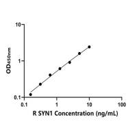 大鼠突触蛋白Ⅰ(SYN1)ELISA试剂盒