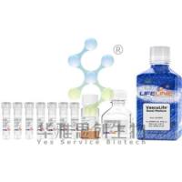 Lifeline LL-0003 VascuLife VEGF Complete Kit 人血管内皮细胞培养基套装