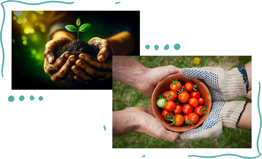 定制化基因芯片：协作的流程、灵活的规格与卓越的品质