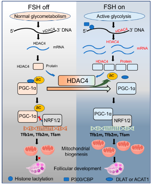 技术资料图片10