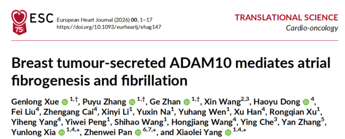 European Heart Journal（IF：35.6）：乳腺癌直接诱发房颤？新研究解锁肿瘤独立致心律失常新机制