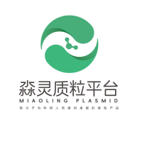 pFA6a-hphMX-tetO-Pcyc1-3×FLAG质粒载体图谱序列信息