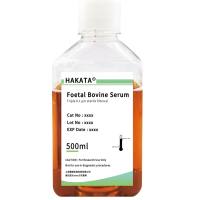 四环素阴性胎牛血清