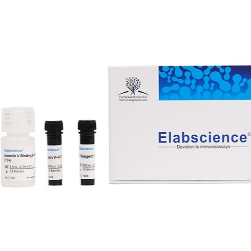 Elabscience E-CK-A211 Annexin V-FITC / PI细胞凋亡检测试剂盒