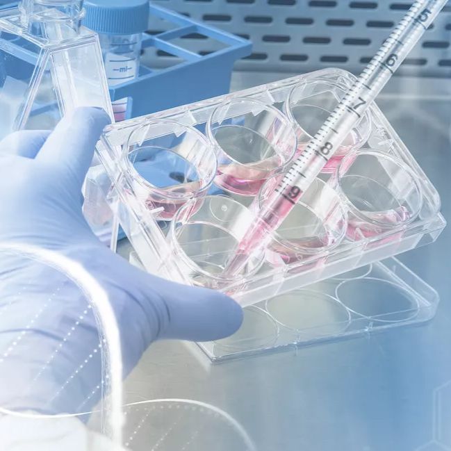 贴壁细胞全悬浮驯化服务