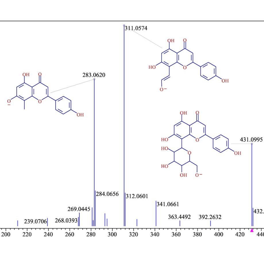 中药成分质谱裂解规律分析