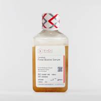 vivacell C04001 特级胎牛血清