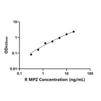 大鼠鞘磷脂蛋白0(MPZ)ELISA试剂盒