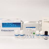 Elabscience®E-EL-H6156 人白介素 6(IL-6)酶联免疫吸附测定试剂盒
