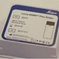 BOND Plus 载玻片