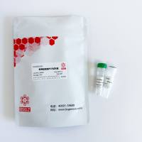 即用型易错PCR试剂盒