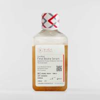 Vivacell C04002-500 金牌胚胎干细胞专用胎牛血清