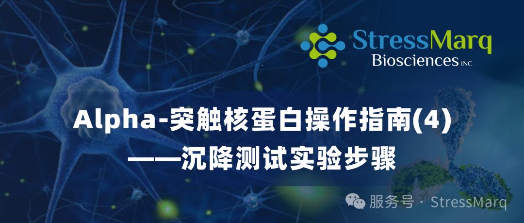 Alpha突触核蛋白操作指南(4)—沉降测试实验步骤