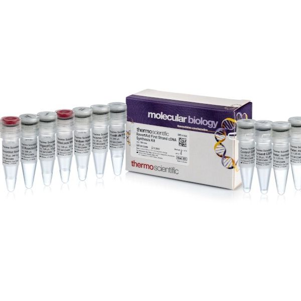 Fermentas货号K1622反转录试剂盒/逆转录试剂盒19121878899上海睿安生物