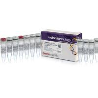 Fermentas货号K1622反转录试剂盒/逆转录试剂盒19121878899上海睿安生物