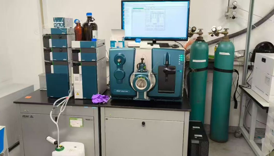 2026年氮气发生器品牌实力榜单：四大品牌角逐，谁主沉浮？