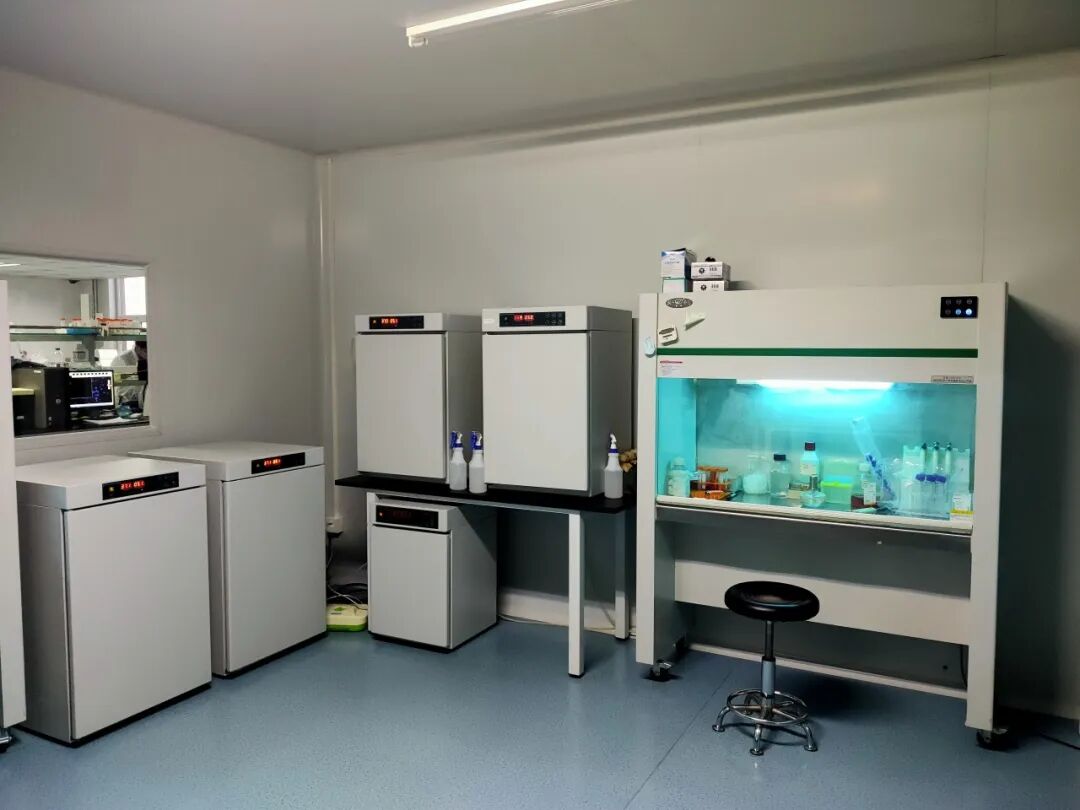 MDL如何打通细胞模型的高分研究路径？