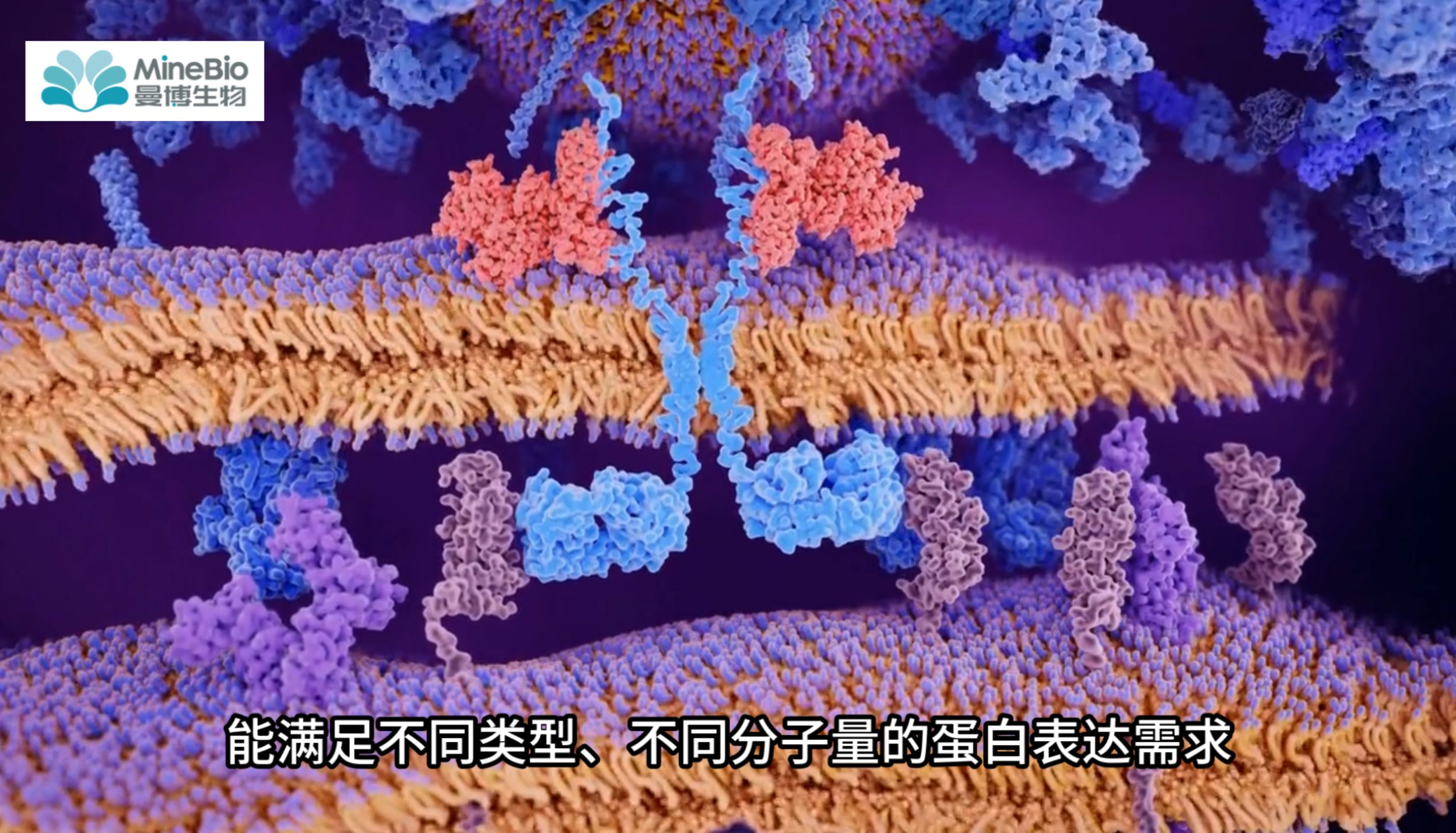 难表达蛋白快速获取？Nuclera无细胞蛋白表达系统破解科研瓶颈